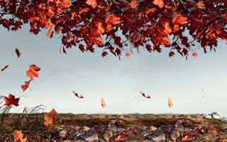 《迟先生又心动了》（80集）免费短剧一口气全追