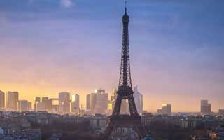 《桑总别虐了夫人她要嫁人了》（100集）短剧全集在线免费看