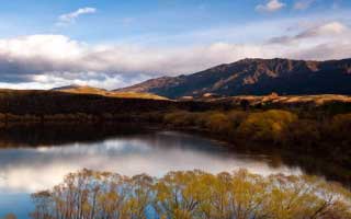 《权宠黑心莲》（78集）免费短剧全集马上看