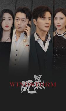 《风暴》（77集）全程短剧免费畅快追