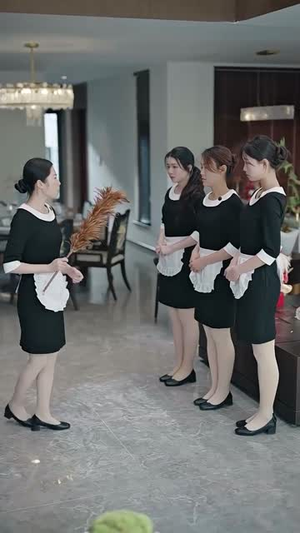 归巢(80集) 归巢(80集)免费看短剧