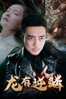 《龙有逆鳞》（81集）短剧精彩剧情一追到底