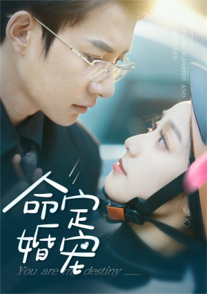 《命定婚宠》（61集）短剧免费畅看全集不停