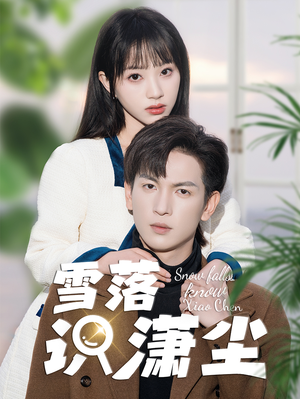 《雪落识潇尘》（80集）畅快看短剧全集不停
