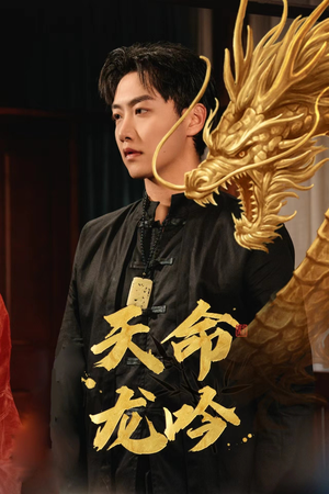 《天命龙吟》（48集）在线畅享短剧全集观看