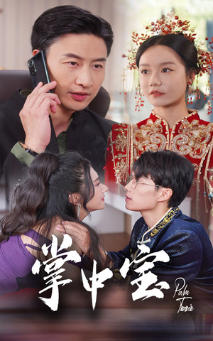 《掌中宝》（31集）热门短剧全集在线爽看