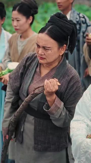 《精忠报国》（41集）免费看短剧完整版来袭