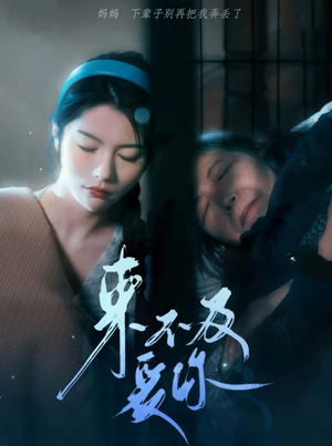 来不及爱你（80集）排行榜前十短剧