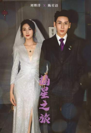 摘星之旅(88集) 摘星之旅(88集)最热短剧推荐