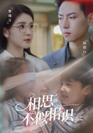 《相思不似相识》（101集）热门短剧精彩一网打尽