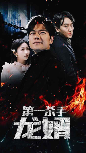 《第一杀手龙婿》（100集）在线看短剧全集爽翻天