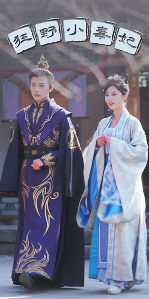 《狂野小毒妃》（87集）短剧畅享全集在线追