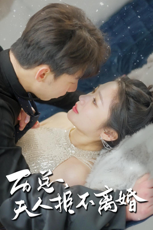 《历总，夫人拒不离婚》（61集）热门短剧在线追到底