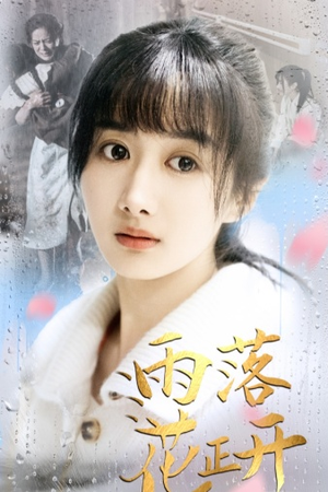 《雨落花正开》（62集）在线免费短剧追到底
