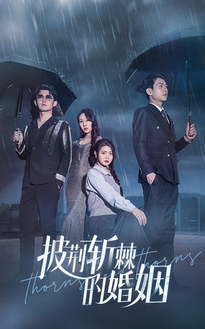 《披荆斩棘的婚姻》（70集）解锁短剧全集在线追