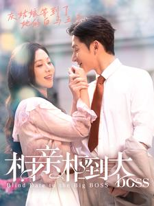 《相亲相到大boss》（101集）看短剧全集酣畅淋漓