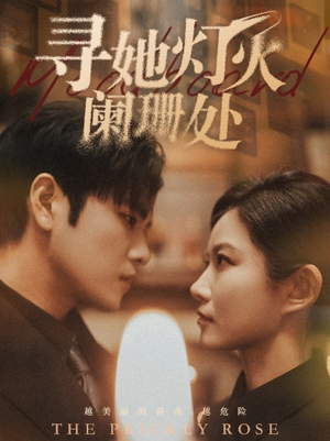 《寻她灯火阑珊处》（61集）在线看短剧全集一饱眼福