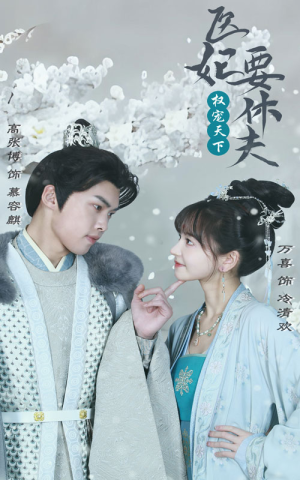 《权宠天下：医妃要休夫》（94集）短剧精品全集在线速看