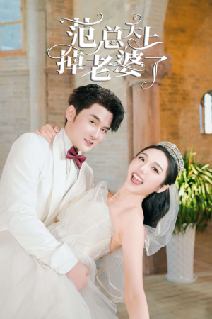 《范总天上掉老婆了》（78集）短剧全集免费在线看