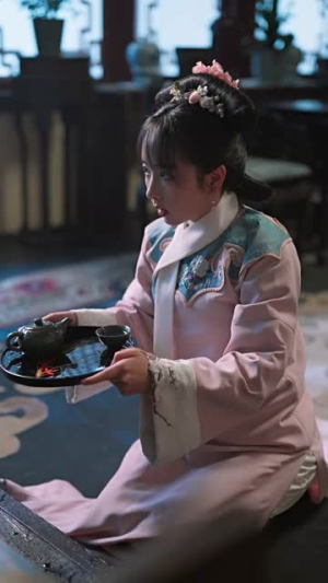 《哑妃》（108集）在线短剧全集追到底看