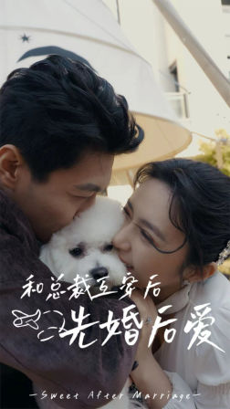 《和总裁互穿后先婚后爱》（60集）免费短剧全集畅快追