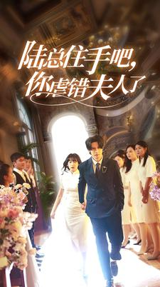 《陆总住手吧，你虐错夫人了》（80集）全集短剧免费在线看