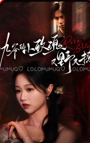 《九爷的小玫瑰又野又撩》（100集）爆款短剧免费看全集