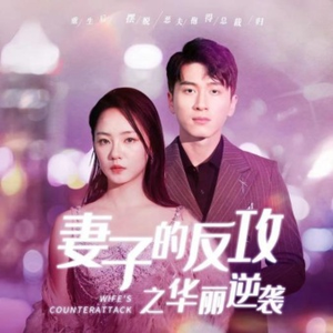 《妻子的反攻之华丽逆袭》（30集）短剧在线全集免费赏