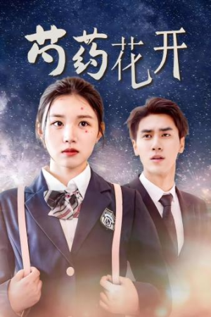 《火光中的芍药花》（77集）速来追短剧精彩不停