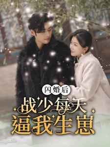 《闪婚后战少每天逼我生崽》（91集）短剧全集免费在线追番