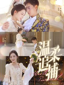 《温柔追捕》（89集）在线短剧免费全集追看