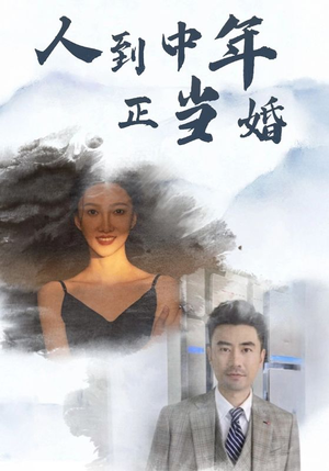 《人到中年正当婚》（81集）在线看短剧全集过瘾