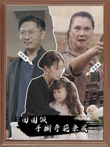 《团圆饭手撕奇葩亲戚》（40集）全集短剧免费追不停歇