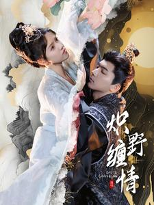 《炽野缠情》（95集）短剧免费看精彩不停