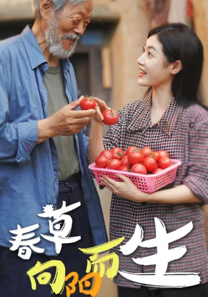 《春草向阳而生》（53集）畅享短剧精彩全集观看