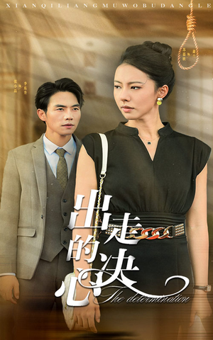 《出走的决心》（29集）短剧免费看全集不等待