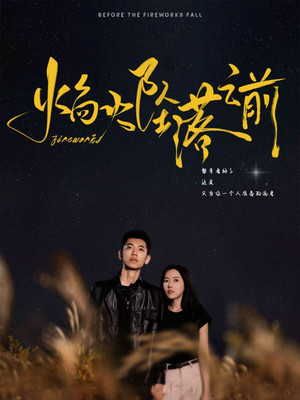 《焰火坠落之前》（99集）畅享短剧精彩全集追
