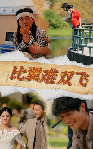 《比翼难双飞》（30集）在线看短剧完整不卡顿