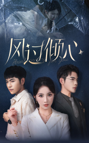 《风过倾心》（62集）短剧在线看精彩不停