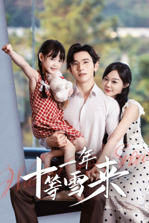 《十一年等雪来》（50集）短剧免费在线看全集