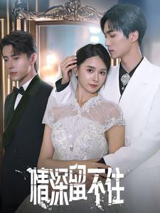 《情深留不住》（80集）精彩短剧在线流畅看