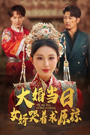 《大婚当日，女婿哭着求原谅》（31集）短剧免费全集畅看