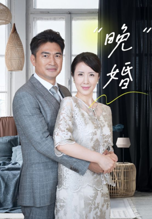 《晚婚》（65集）免费畅享短剧全集追剧