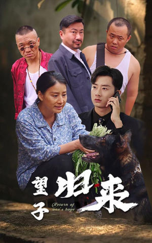 《望子归来》（50集）短剧精彩剧情在线赏