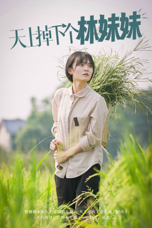 《天上掉下个林妹妹》（81集）精彩短剧免费全集在线追
