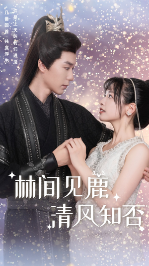 《林间见鹿清风知否》（62集）短剧精彩全集在线速看