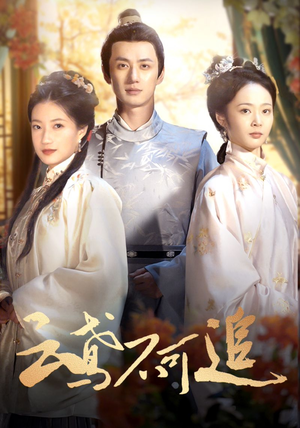 《云鸢不可追》（42集）短剧在线免费看全集