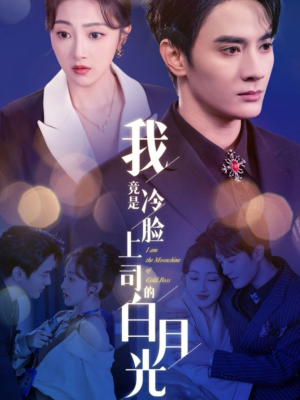 《我竟是冷脸上司的白月光》（80集）精彩短剧免费在线追