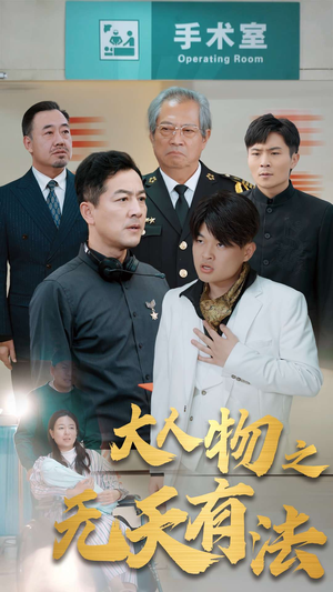 《新大人物之无天有法》（35集）短剧在线全集免费看个够