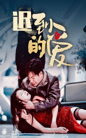 迟到的爱(35集) 迟到的爱(35集)大结局一气呵成